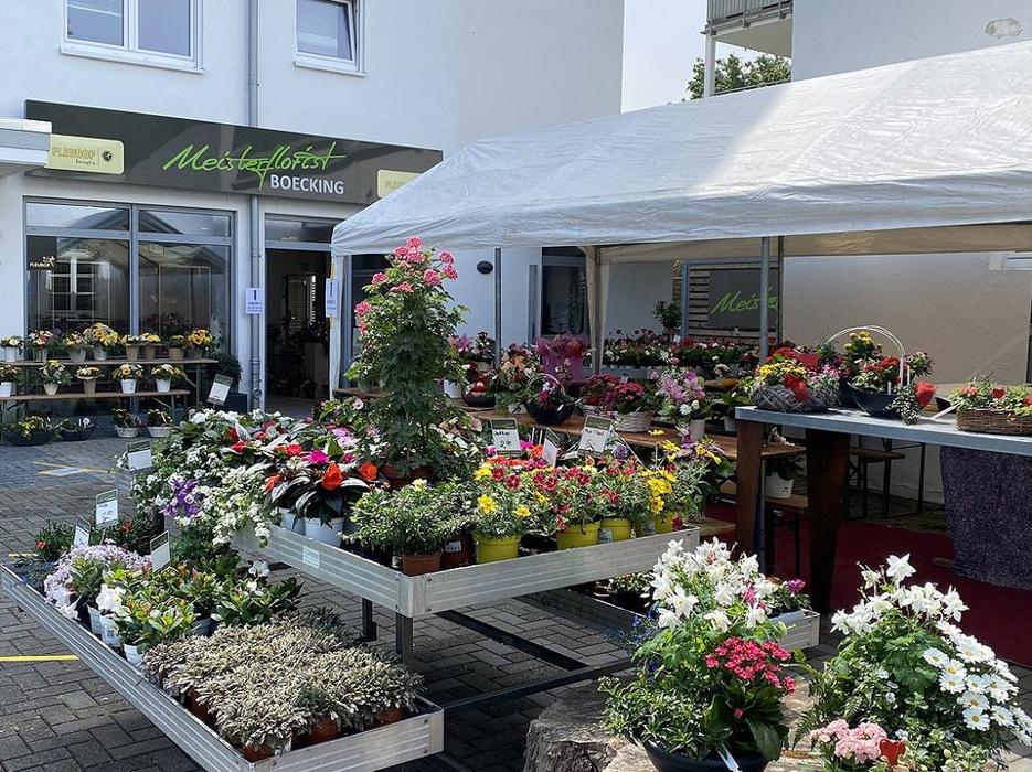 MEISTERFLORIST Boecking, Friedenstraße in Düren