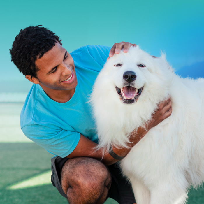 Pet Paradise Plano Custer