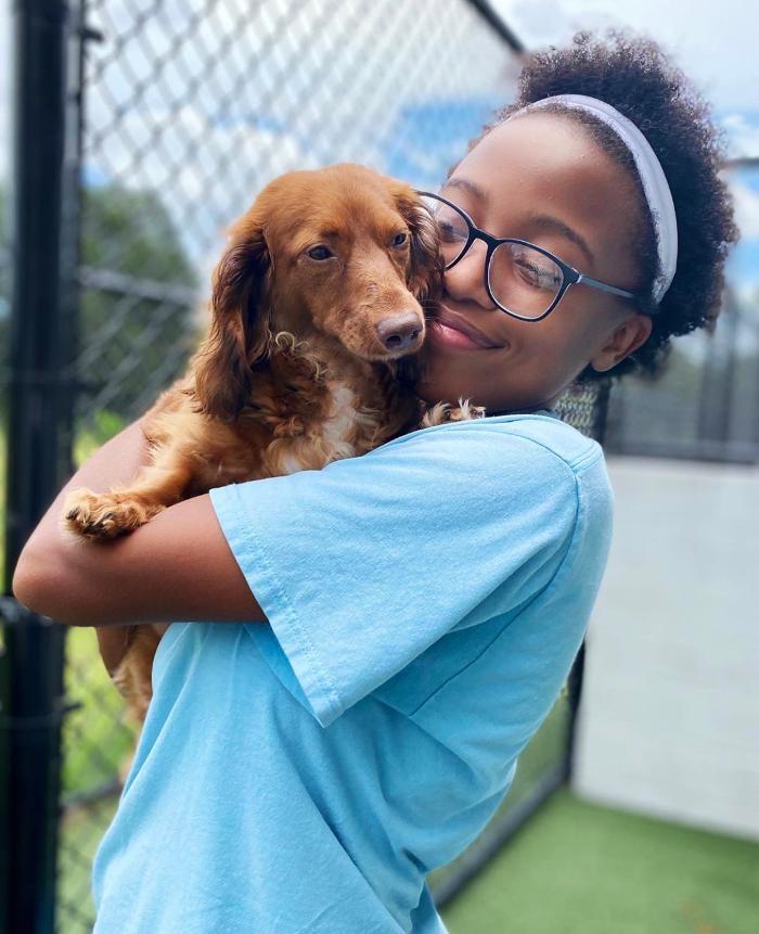 Pet Paradise Jacksonville University Image