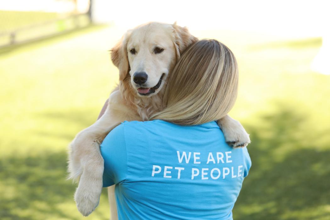 Pet Paradise Lakewood Ranch Image