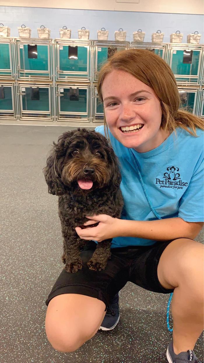 Pet Paradise Lakewood Ranch Image