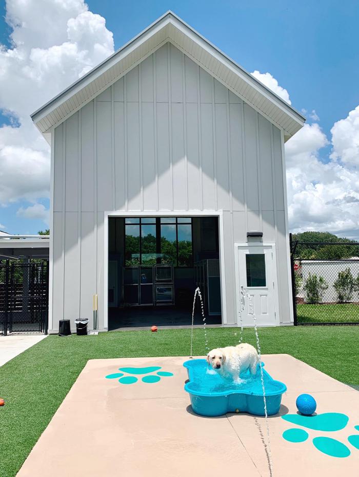 Pet Paradise Lakewood Ranch Image