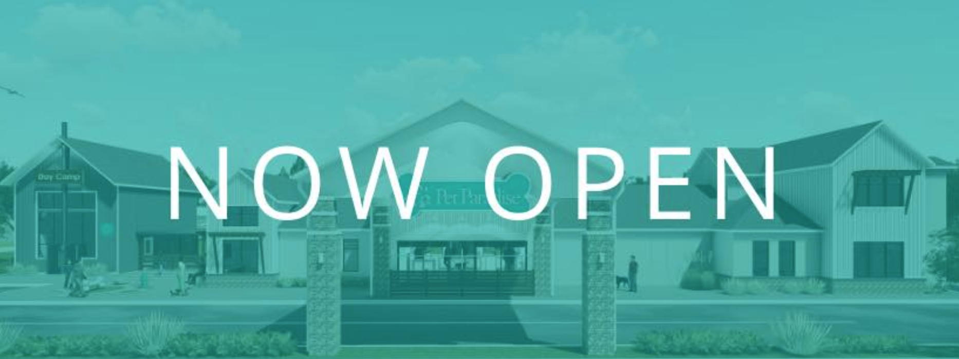 Pet Paradise Lakewood Ranch Image