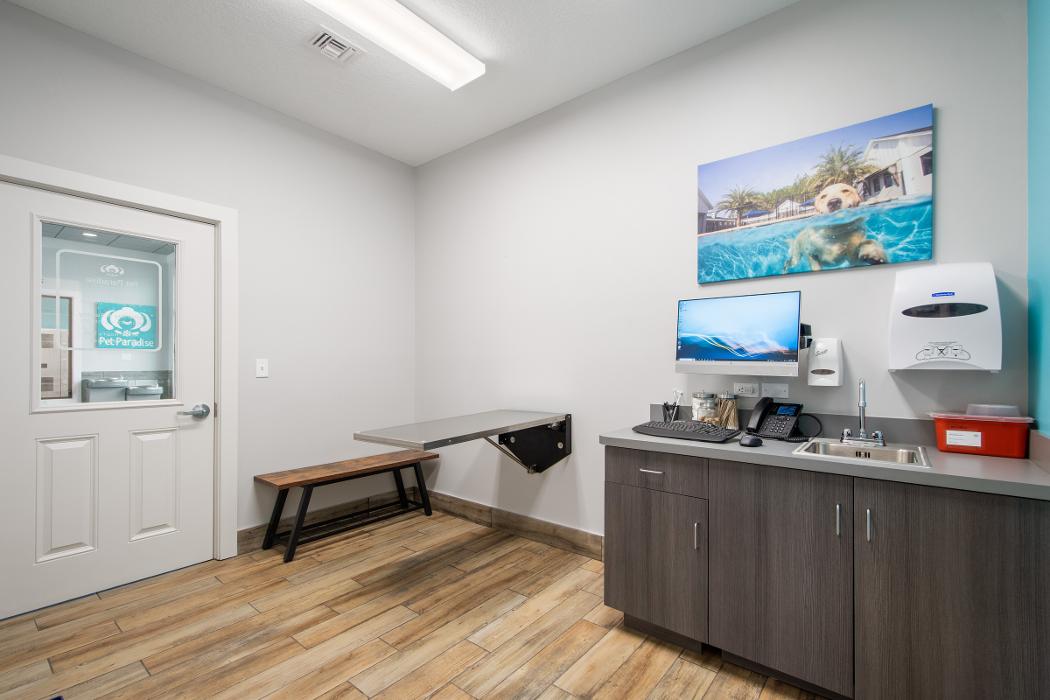 Pet Paradise Lake Buena Vista Image