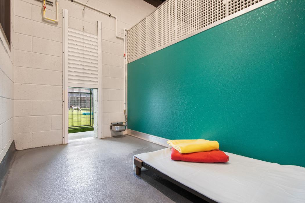 Pet Paradise Lake Buena Vista Image