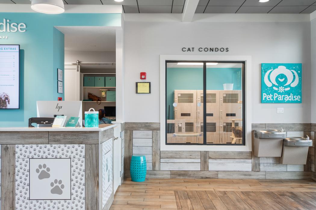 Pet Paradise Lake Buena Vista Image