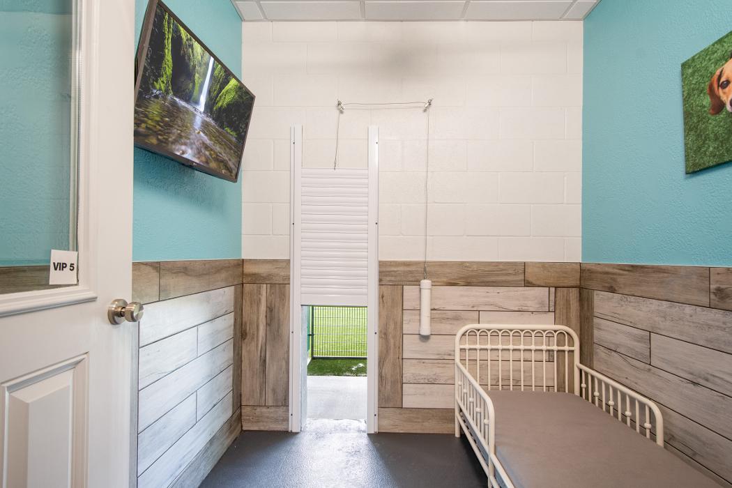 Pet Paradise Lake Buena Vista Image