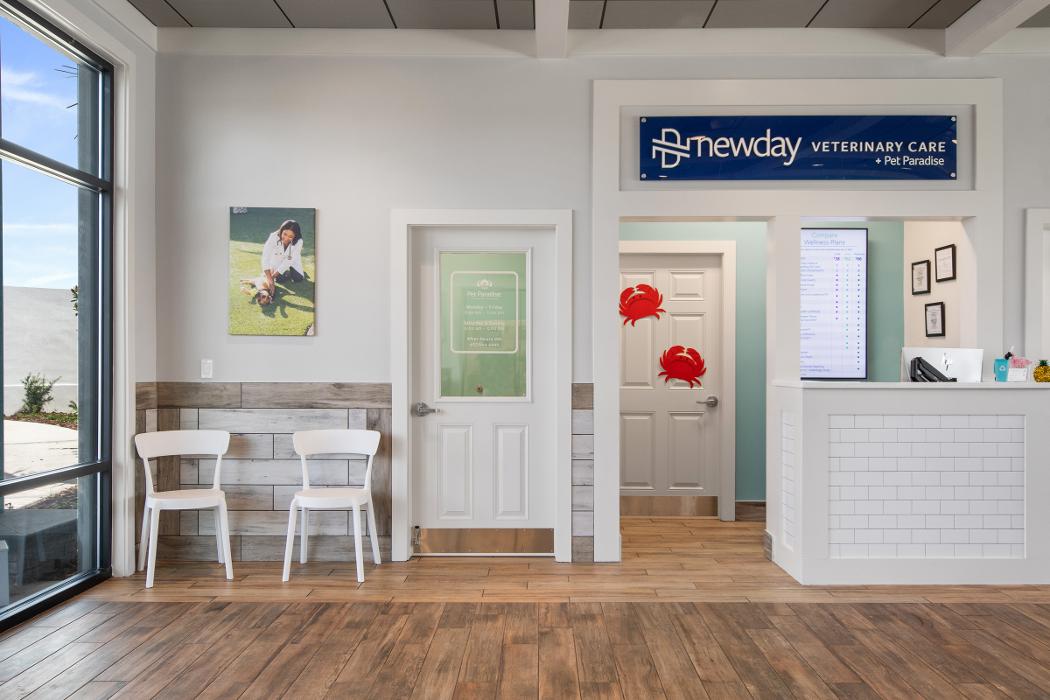 Pet Paradise Lake Buena Vista Image