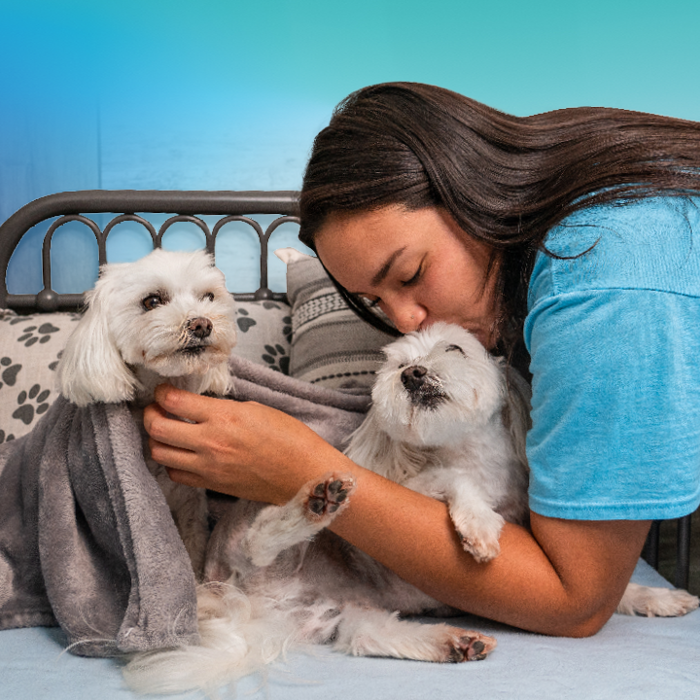 Pet Paradise Houston Will Clayton Image