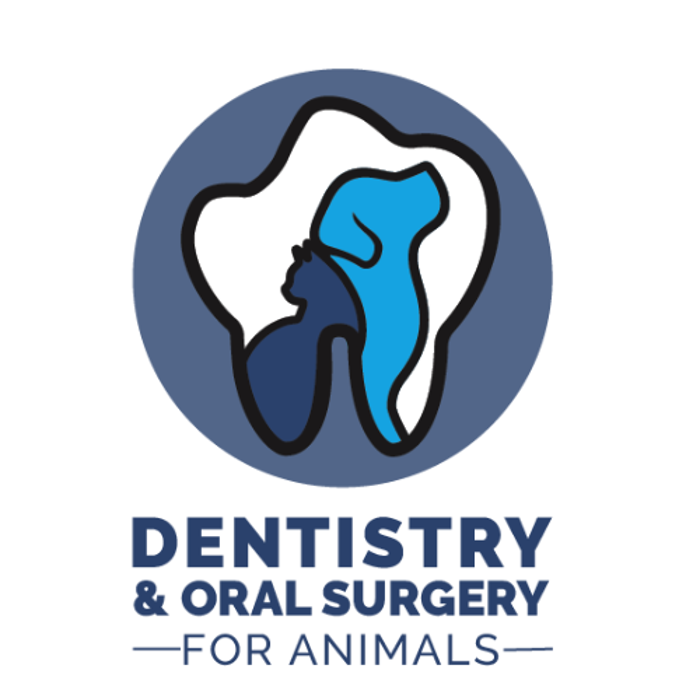 Dentistry and Oral Surgery for Animals Chattanooga