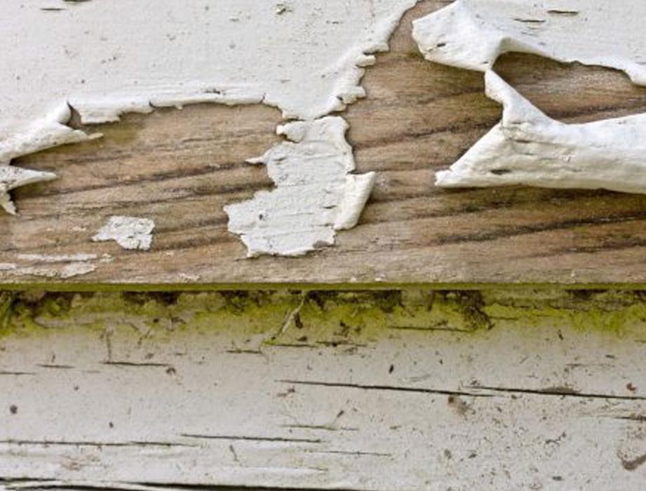 CertaPro Painters of Hoboken, NJ Image