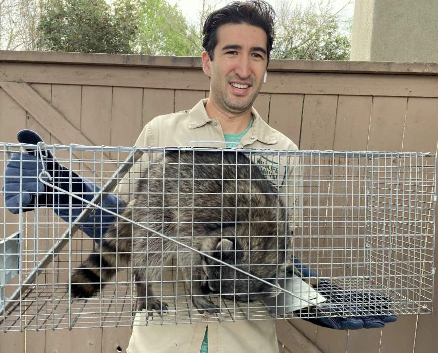 District Wildlife Solutions LLC