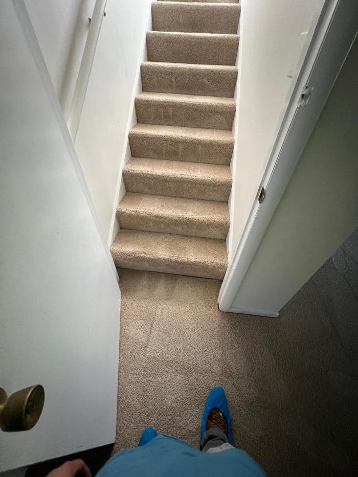 Avilas Carpet Cleaning Image