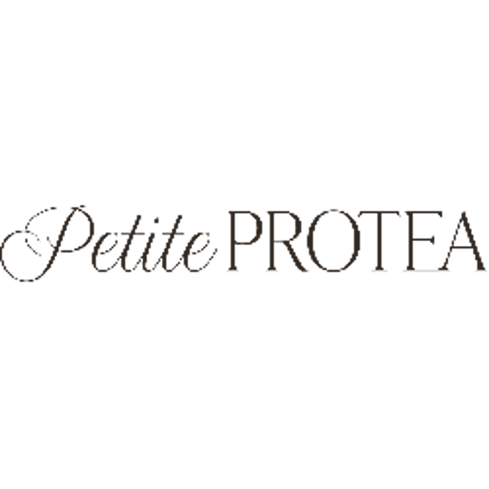 Petite Protea