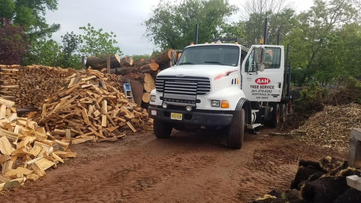 A and H Tree Service Image