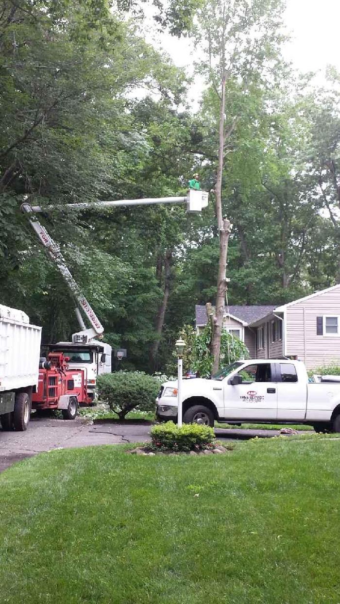 A and H Tree Service Image