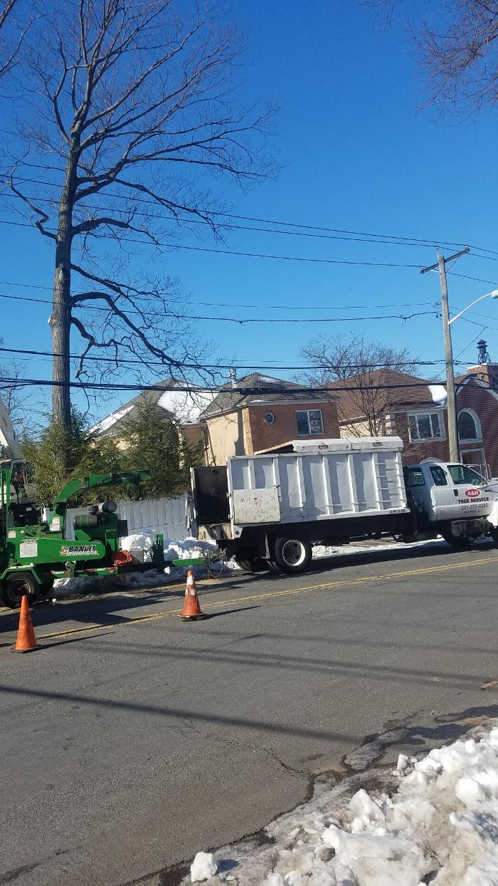 A and H Tree Service Image