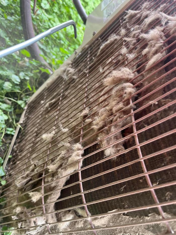 DucTech HVAC