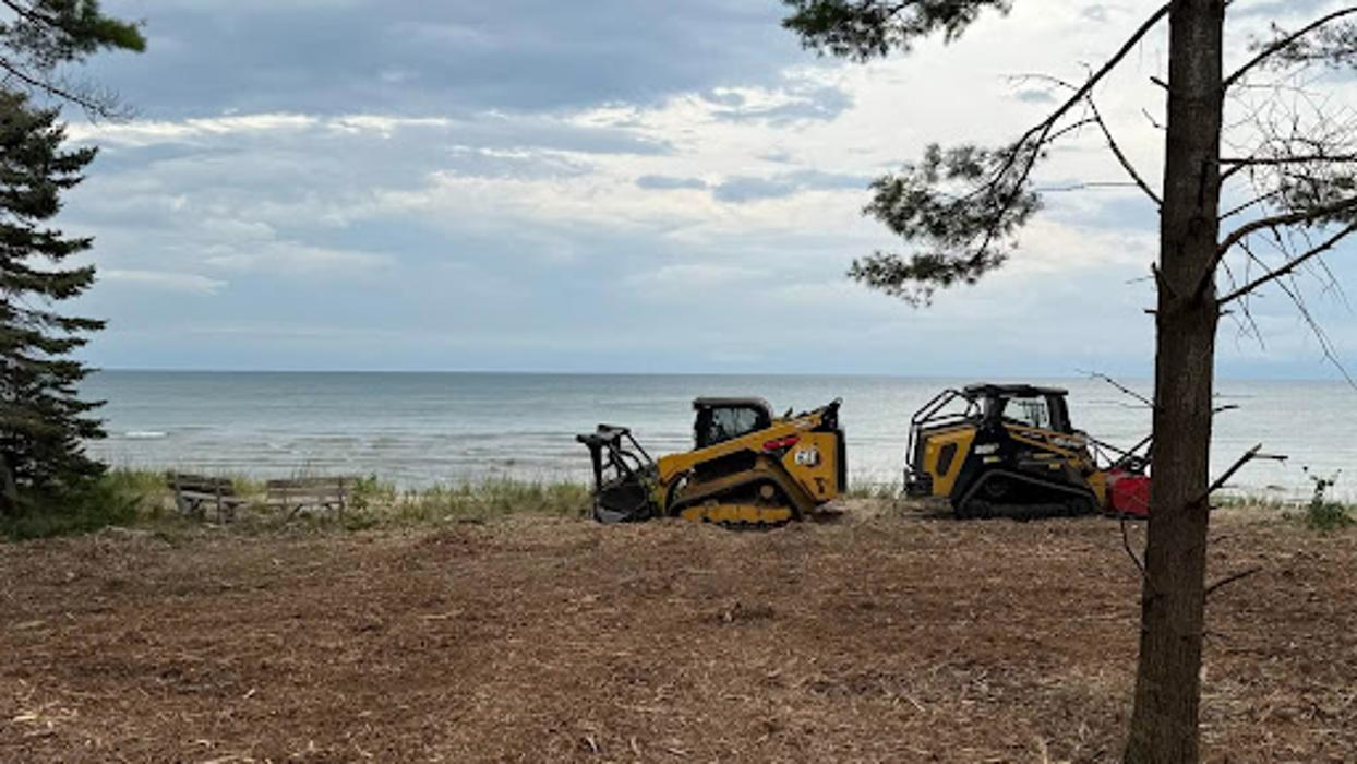 A & B Land Clearing