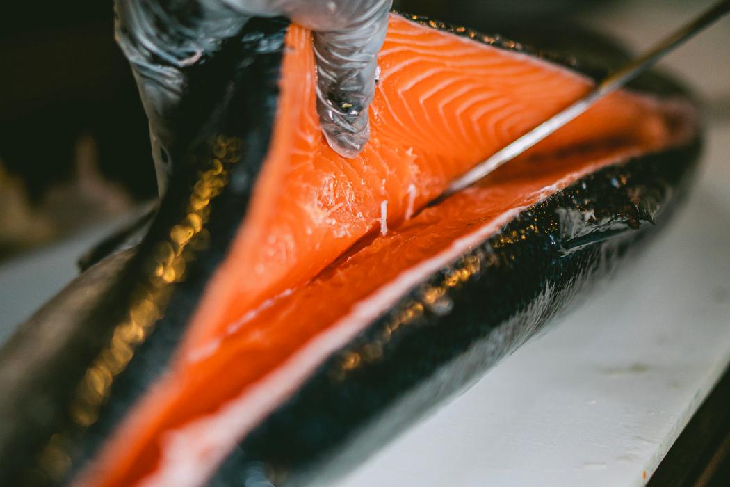 Inari sushi fusion doral Image