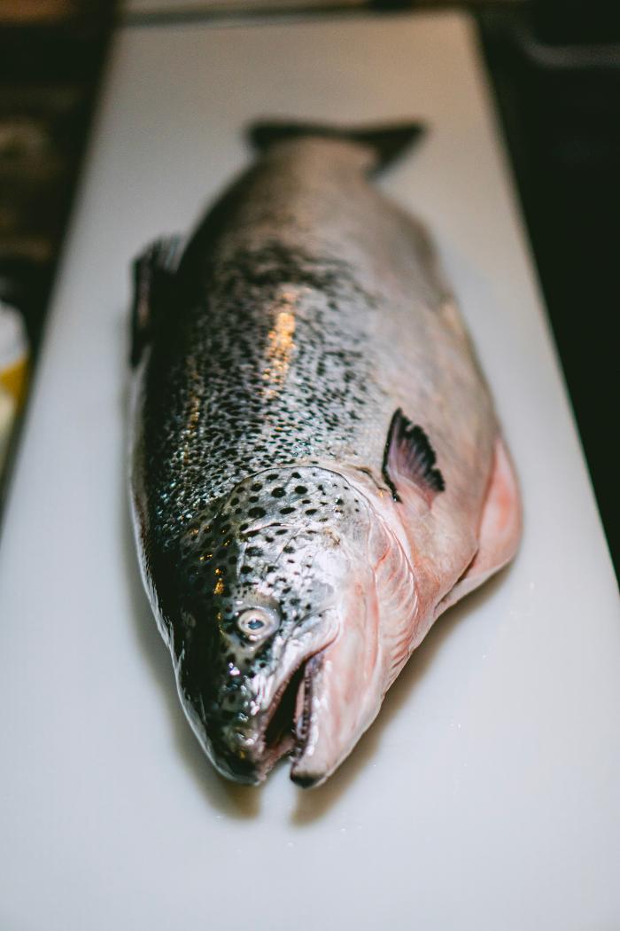 Inari sushi fusion doral Image