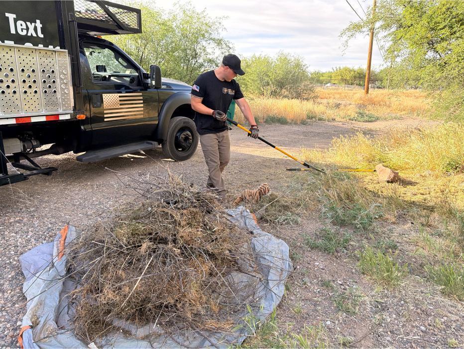 Bella Junk Removal owner removing yard debris during a yard cleanup job.