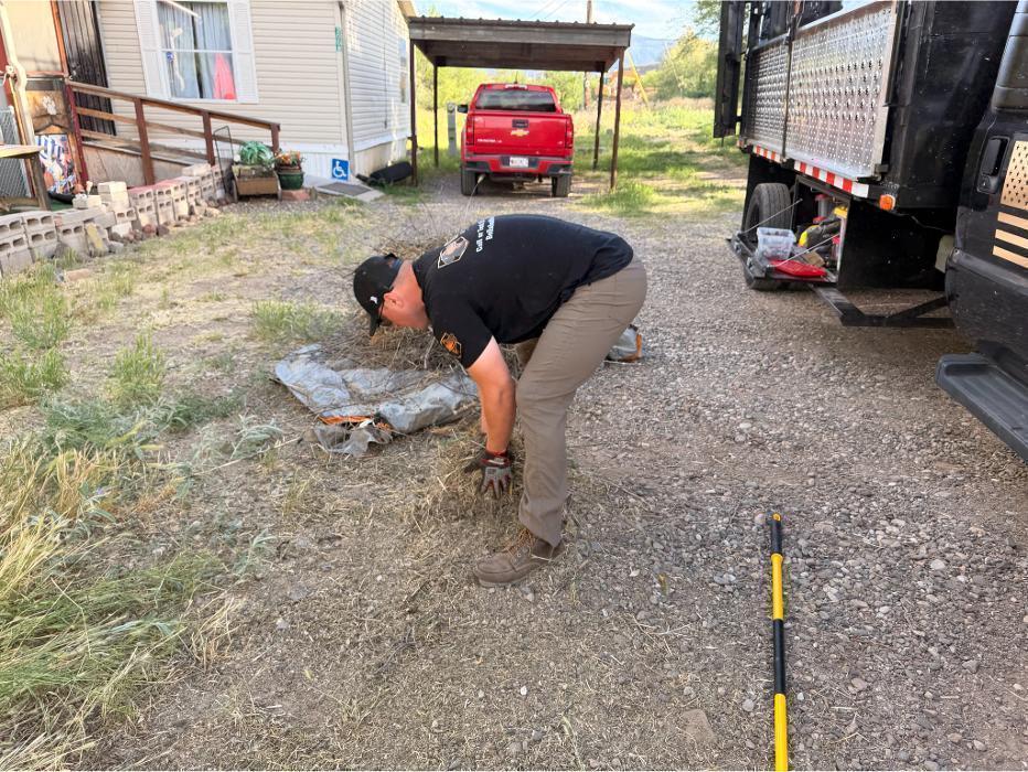 Bella Junk Removal owner picking up yard debris by hand during a yard cleanup job.