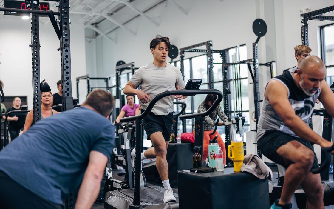 INDUSTRIOUS - Spring Image