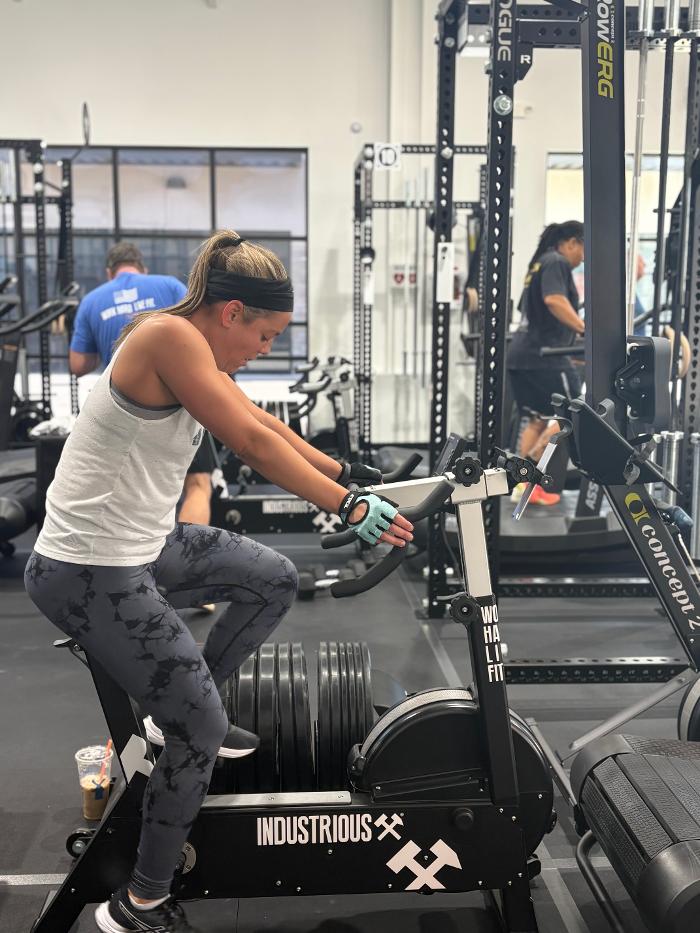 INDUSTRIOUS - Spring Image