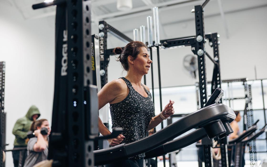 INDUSTRIOUS - Spring Image