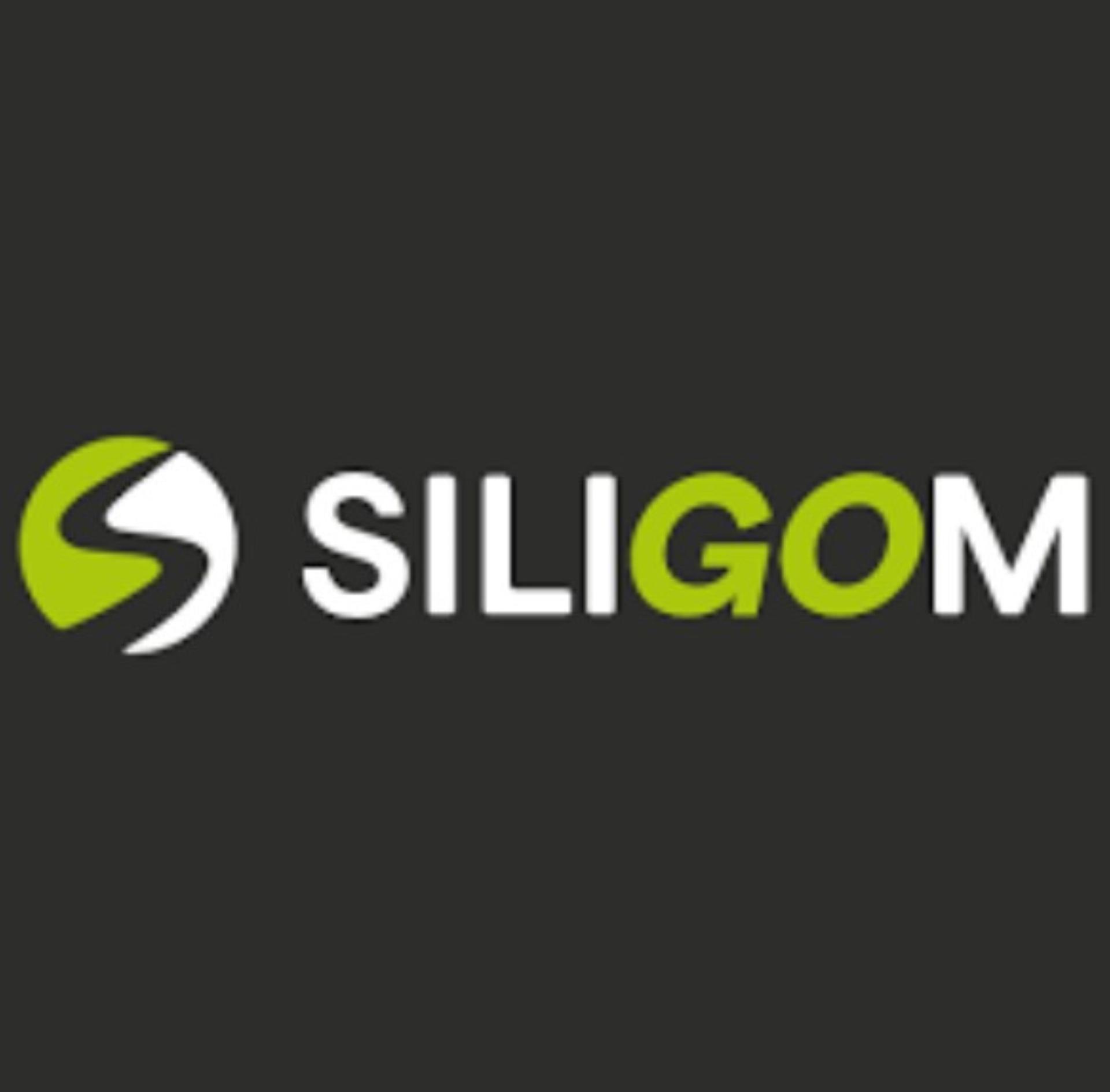 SILIGOM - LE BEAU C carrosserie et peinture automobile