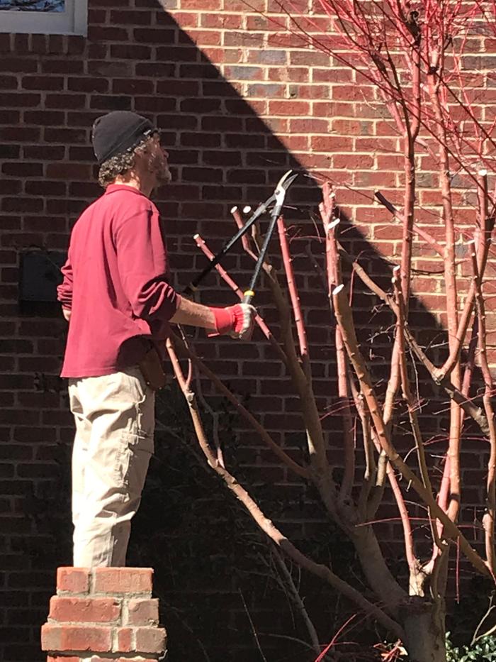 Landhammer Landscaping and Handyman Services