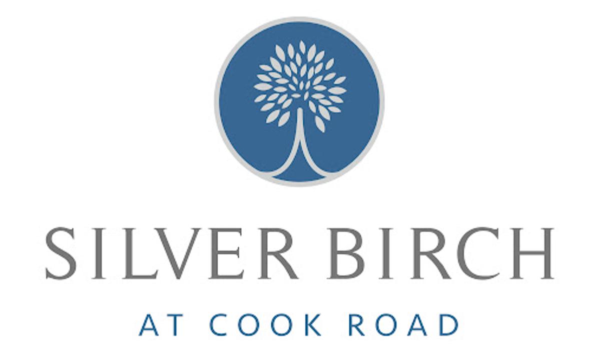 Silver Birch at Cook Road