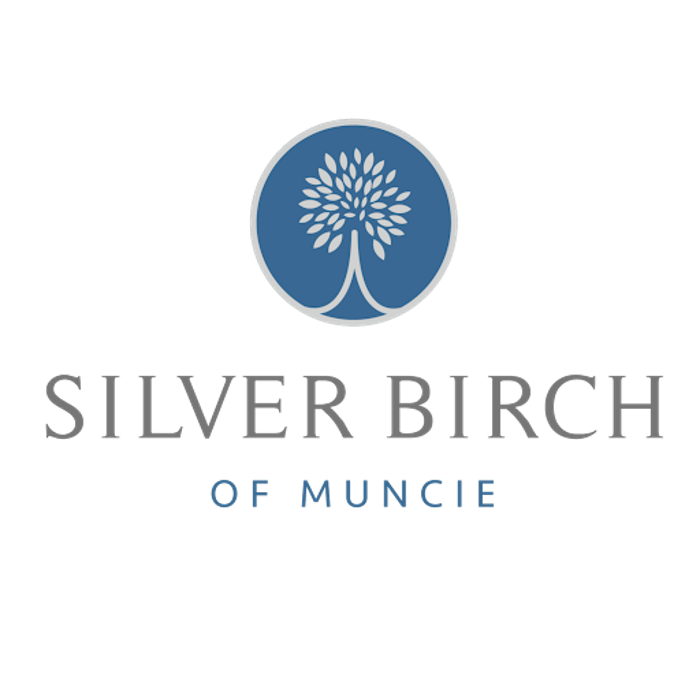 Silver Birch of Muncie