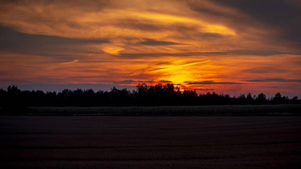 View Sportscheck Köln Telefonnummer Pics