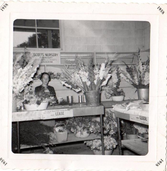 Scott's Nursery Ltd