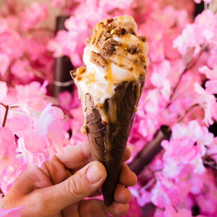 BEG Bakery & Creamery and P.A.R.M. Italia Image