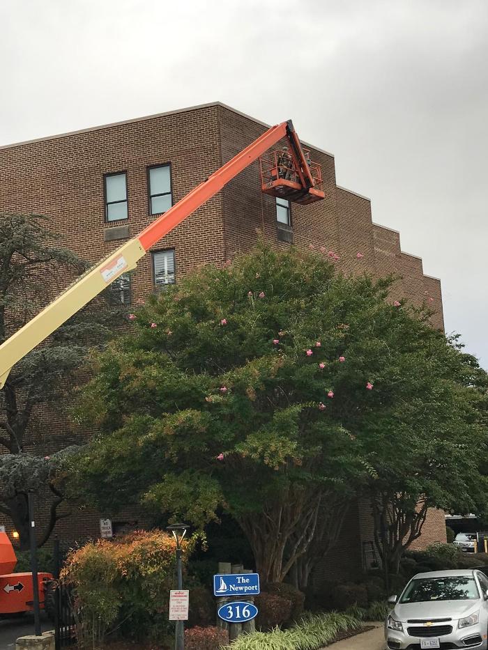 Israel's Masonry Image