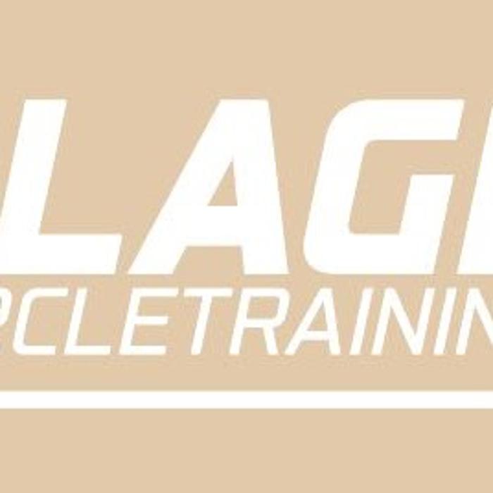 Logo VillageFit Burgwedel - Fitness, Zirkeltraining & Sport