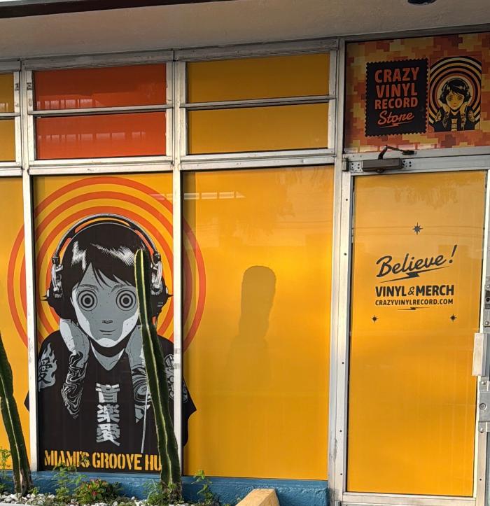 Crazy Vinyl Record Image