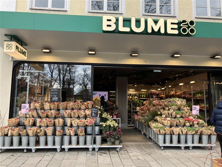 BLUME2000 Rosenheim, Münchener Straße in Rosenheim