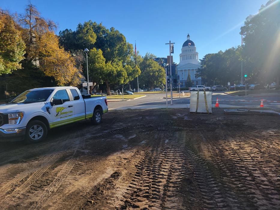 Landscape and Tree Company Image