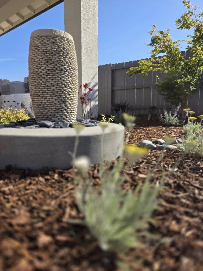 Landscape and Tree Company Image