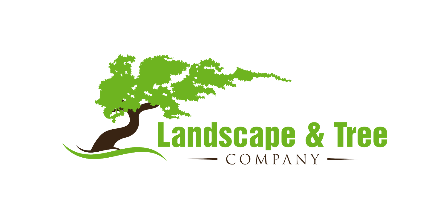 Landscape and Tree Company Image