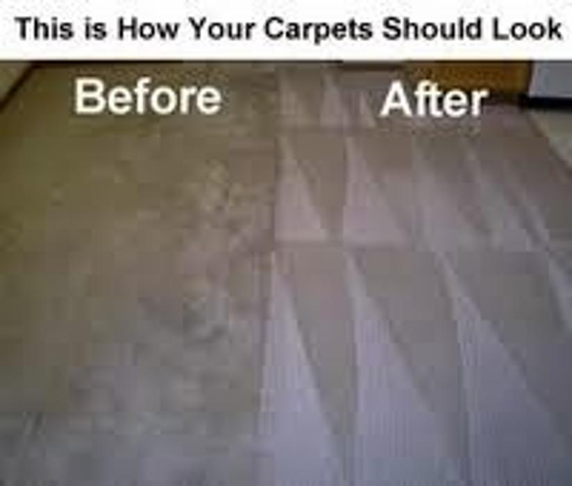Start To Finish Carpet, Upholstery Cleaning & Janitorial Service Inc. Image
