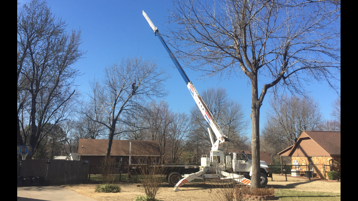 T & M Tree Service Tulsa Image