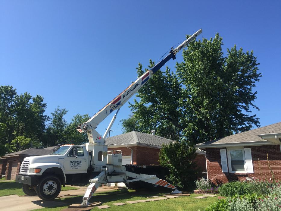 T & M Tree Service Tulsa Image