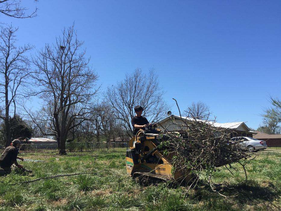 T & M Tree Service Tulsa Image