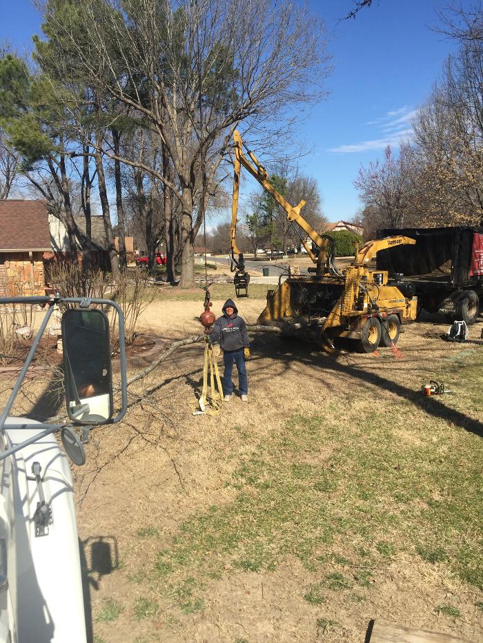 T &amp; M Tree Service Tulsa Logo