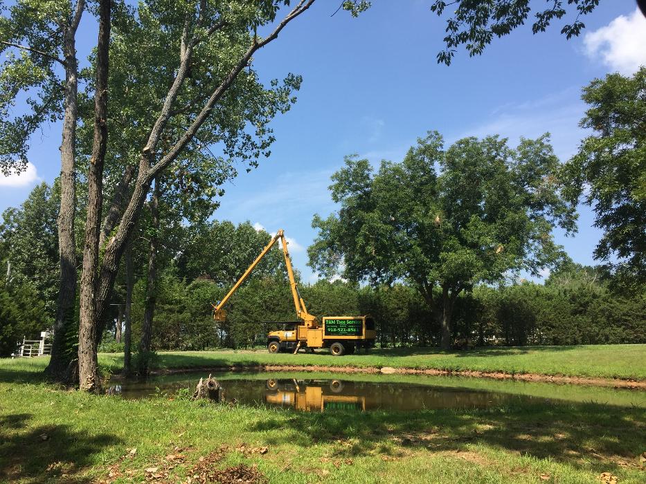 T & M Tree Service Tulsa Image